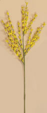29" Forsythia Spray