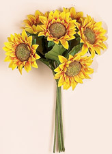 15" Sunflower Bush x 6