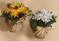 6" Daisy Arrangement Tabletop