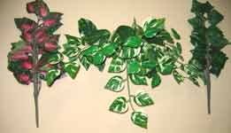Trailing Greens - CLOSE OUT