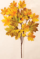 26" Canadian Fall Maple Spray