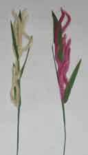 24" Handwrapped Rabbit Tail - CLOSE OUT
