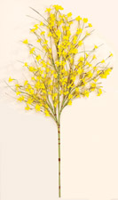 32" Forsythia Spray