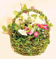 9" X 7" Twig/Moss Basket w/Daisies