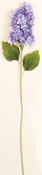 Lilac on Long Stem