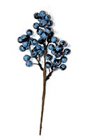9" Blueberry Pick