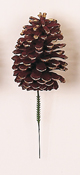 5" Burg/Gold Pine Cone Pick