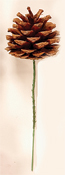 3" Natural Pine Cone Pick