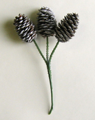 2.5" White Tip Spruce Cone Pick x 3
