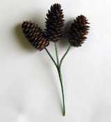 2.5" Natural Spruce Cone Pick x 3