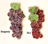 Frosted Grape Bunch