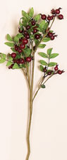 25" Outdoor Rose Hip Spray w/ Leaves