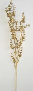 25" Gold Eucalyptus Spray