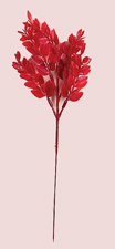 15" Plastic Red Ruscus X 5
