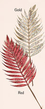24" Glittered Fern Spray