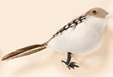 5" Partridge