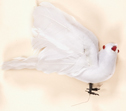 6.5" White Dove, Open Wing