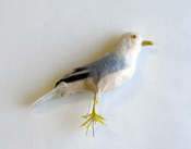 5" Seagull - CLOSE OUT