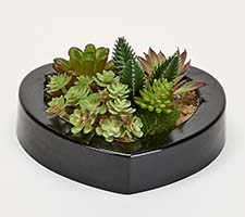 Artificial Mixed Succulents In 7" Heart Shaped Dish Garden - CLOSEOUT