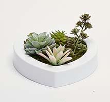 Artificial Mixed Succulents in White Heart Shaped Plastic Dish Garden Container - CLOSEOUT