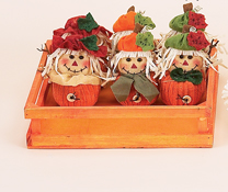 6" Pumpkin Man w/ Display Case
