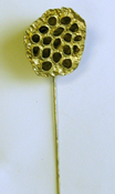 Large Gold Lotus  Pick
