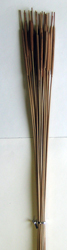 26" Pencil Cattail x 25