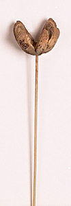 17" Lumber Flower on Stem x 6