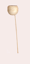 21" Bel Cup on Stem x 6 - Natural