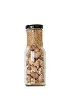 Snail Shells in 6" Glass Bottle-Close Out