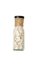 Mini Clam Shells in 6" Glass Bottle -Close Out
