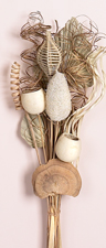 Mixed Natural Pod Bouquet