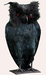 11" Standing Black Owl