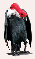 10.5" Vulture