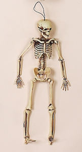 16" Hanging Skeleton