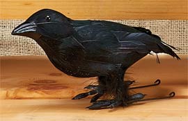 6" Mini Crow