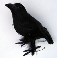 6" Mini Crow