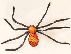 Colored Spider