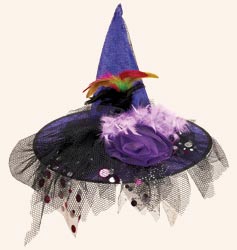 19" Purple Decorated Witch Hat