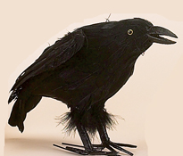 12" Long Crow