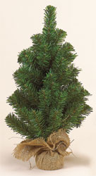 18" Pine Tree in Burlap