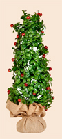 21" Snowy Boxwood and Bell Tree in Burlap Base - CLOSEOUT