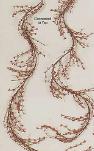5' Double Strand Frosted Berry Garland- CLOSE OUT