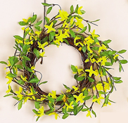 12" & 15" Forsythia Wreath on Twig Base