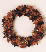 13" Natural Pod Bud Wreath