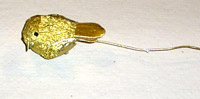 2.5" Gold Bird Pick-CLOSE OUT
