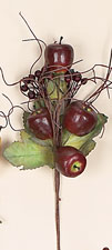 10" Apple & Berry Spray