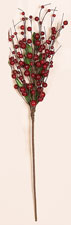 24" Large Berry Spray