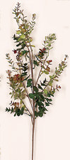 30" Eucalyptus Spray