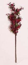 24" Pepper Berry Spray